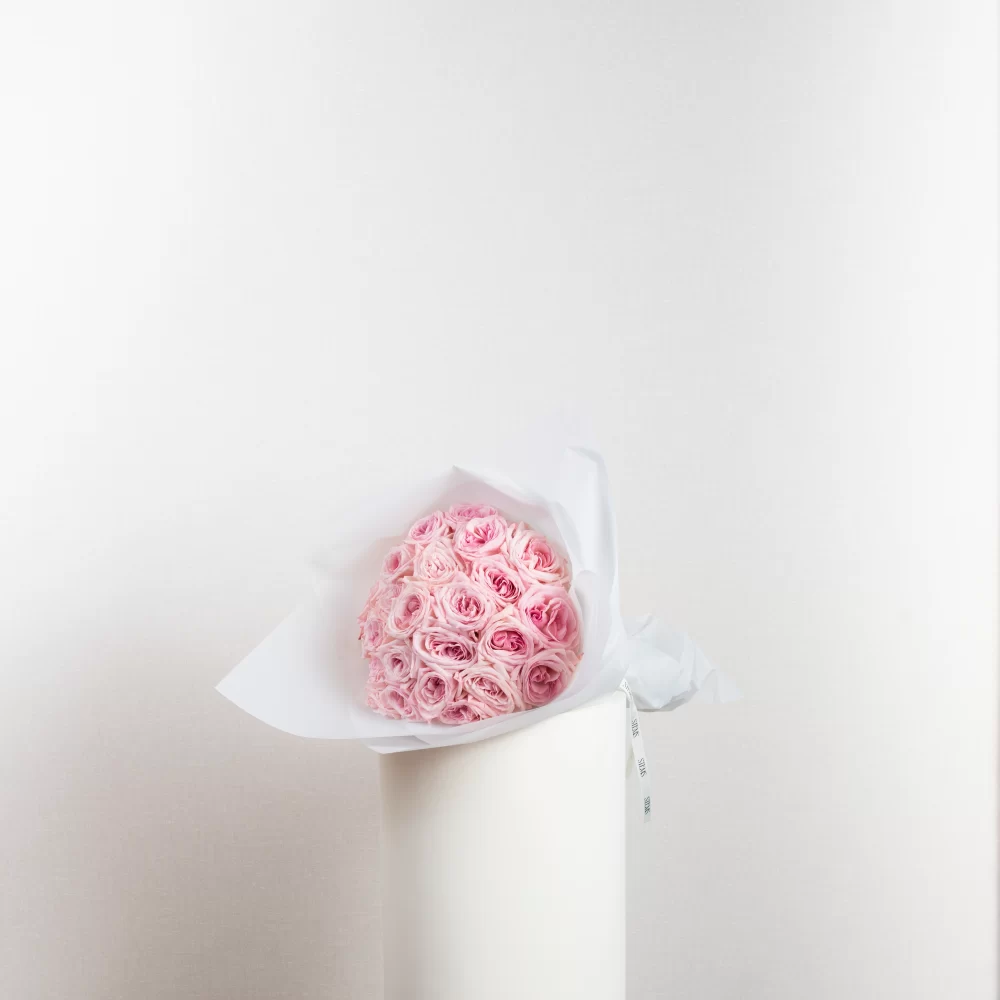 Pink Ohara Roses