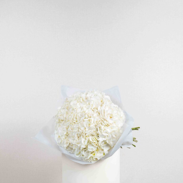 White Hydrangea Bunch