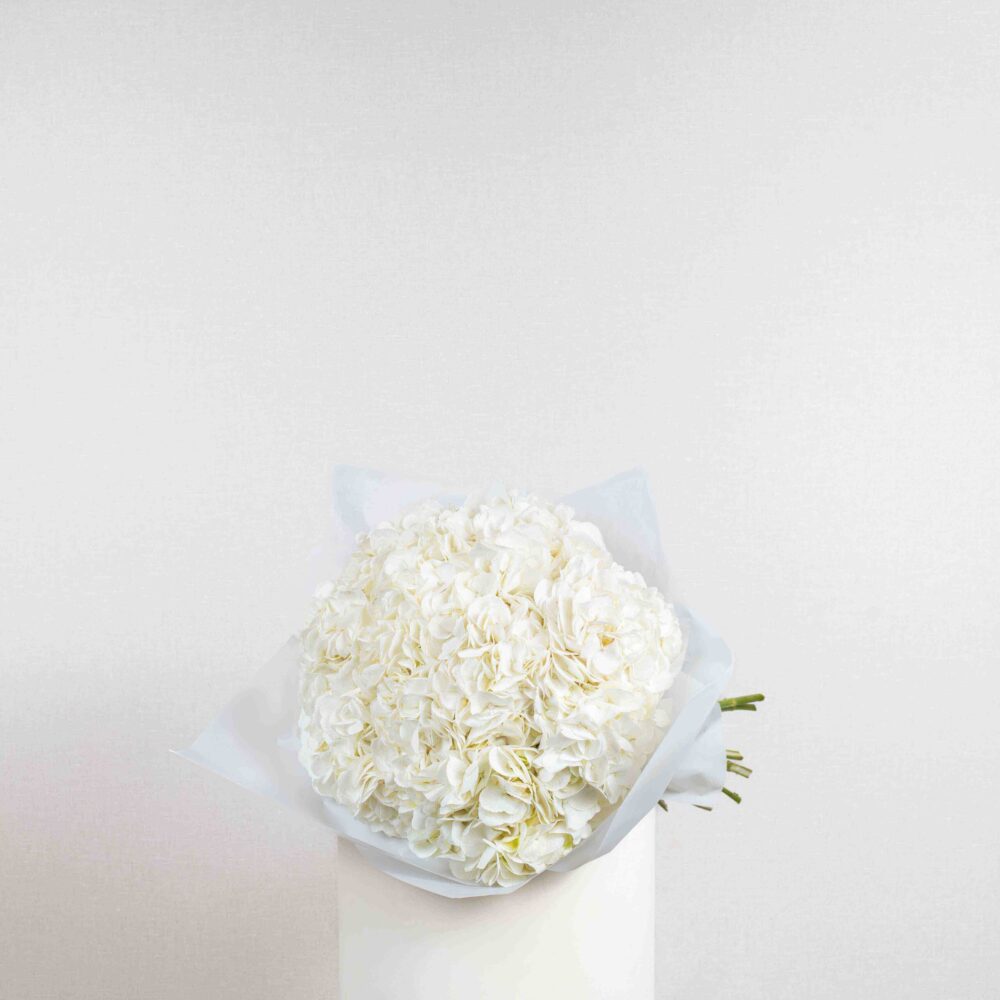White Hydrangea Bunch