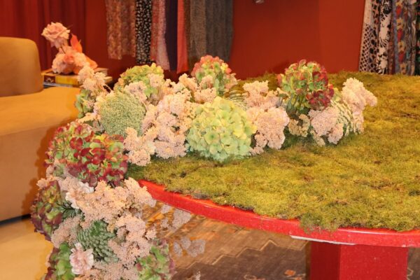 image00002