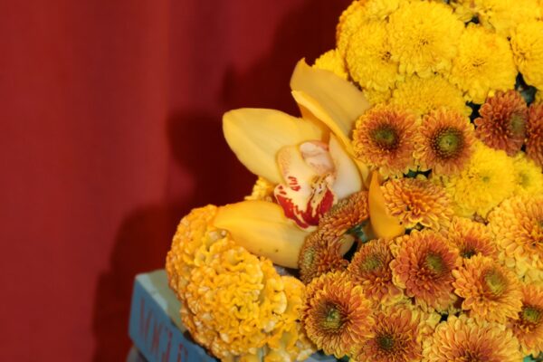 image00004