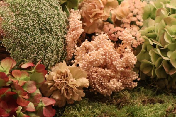 image00005