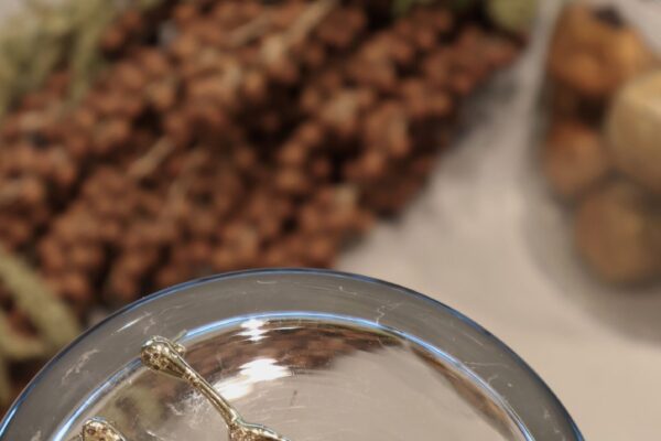 IMG_4344