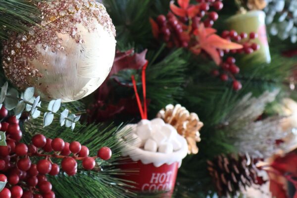 image00003