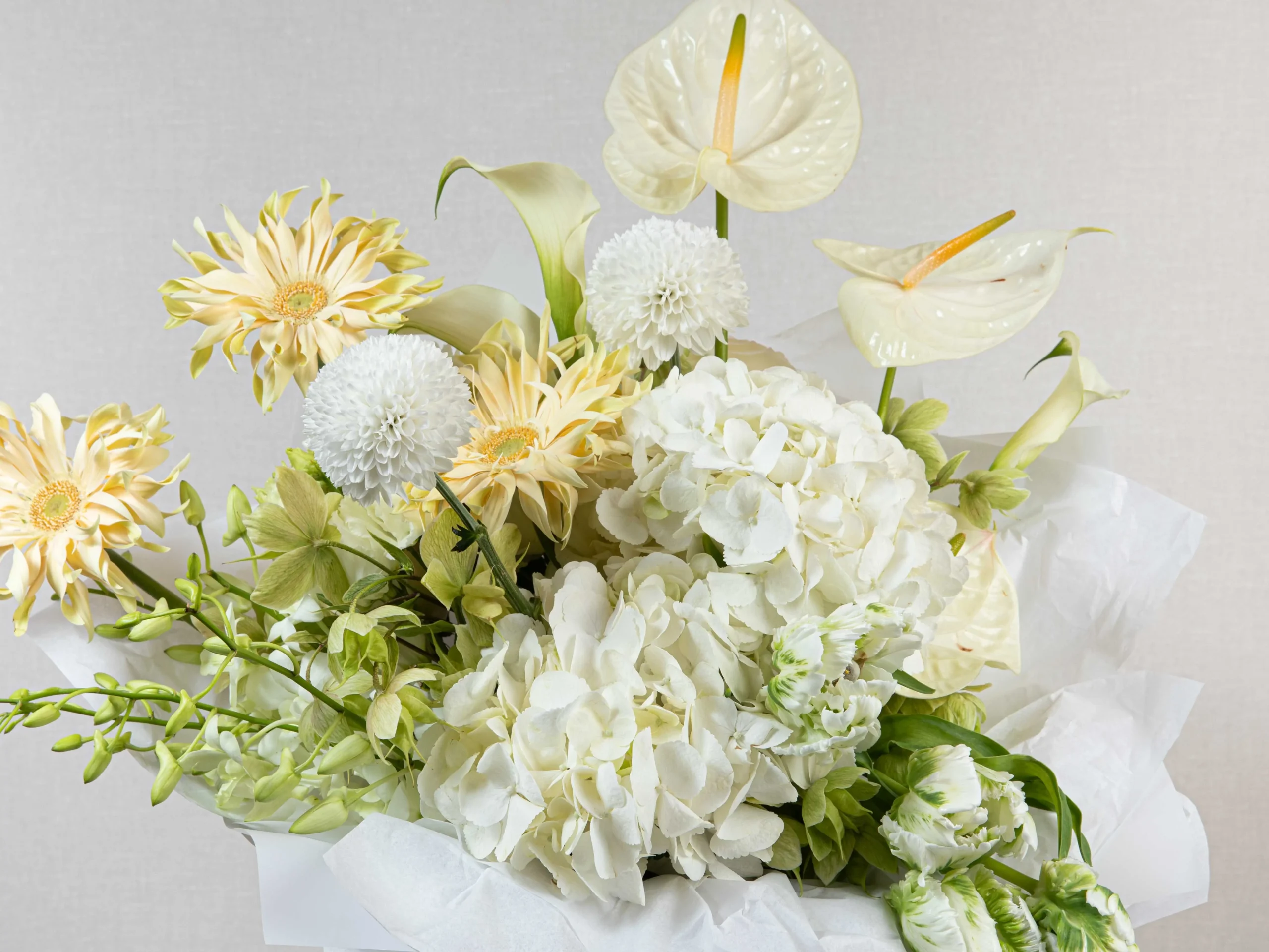 Pure Blooms - Image 2