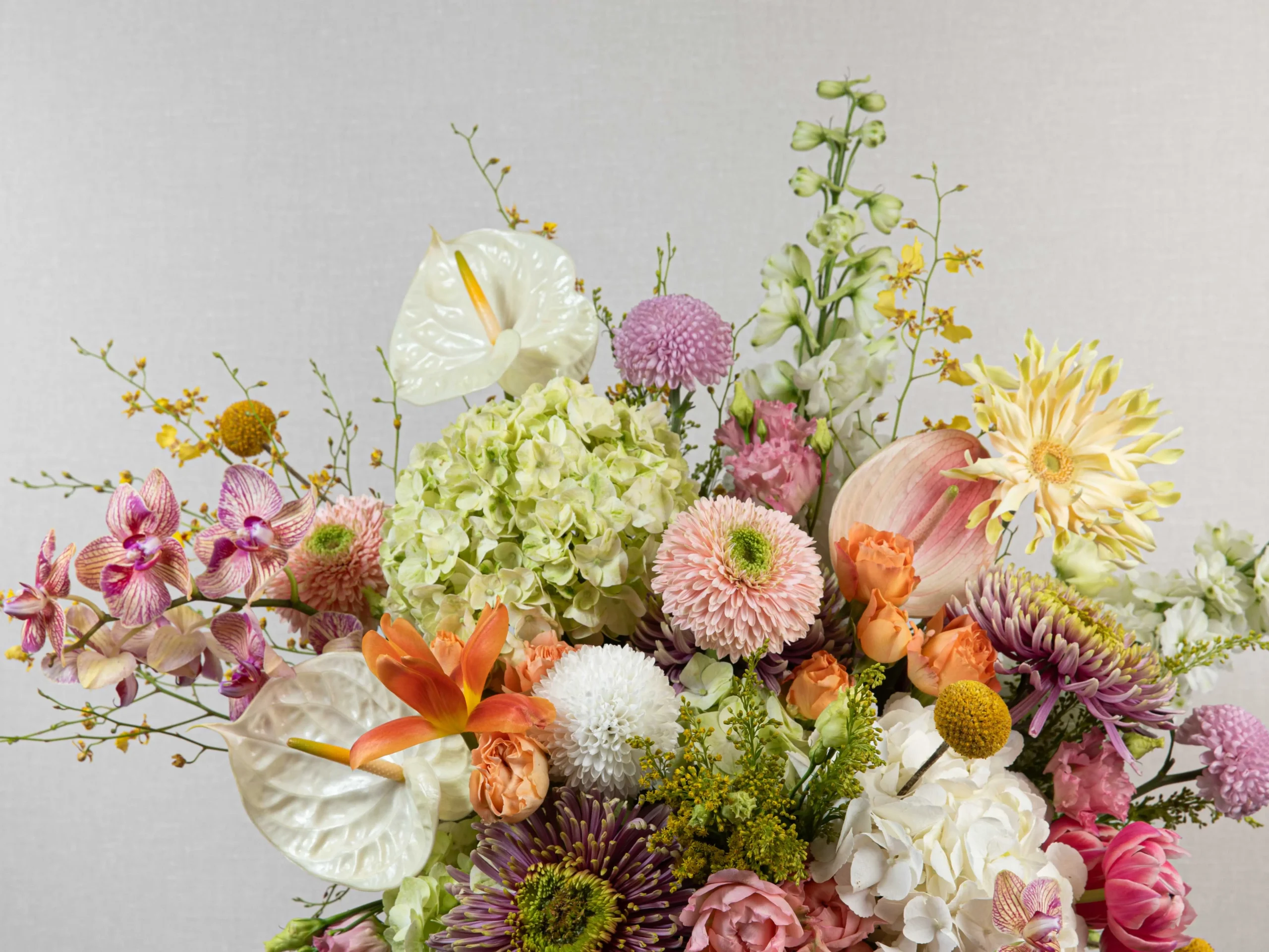 Petal Parade - Image 2