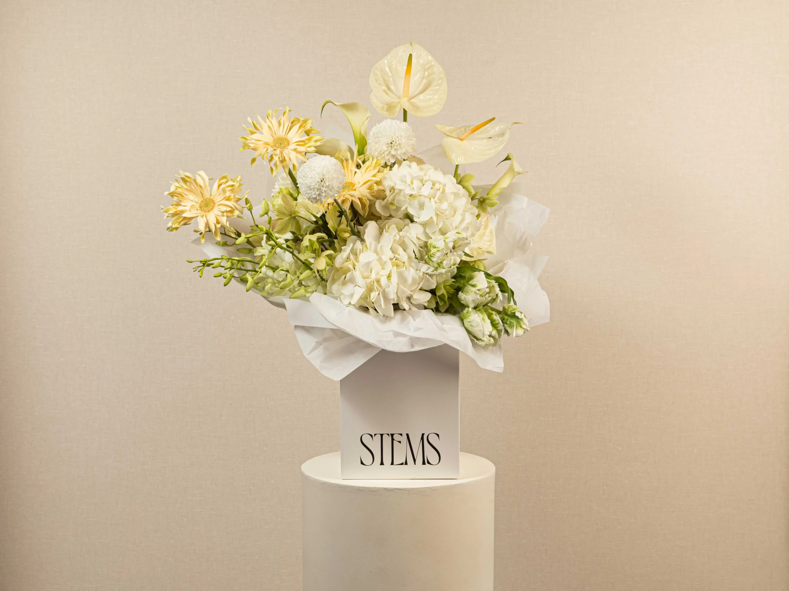 Pure Blooms - Image 3