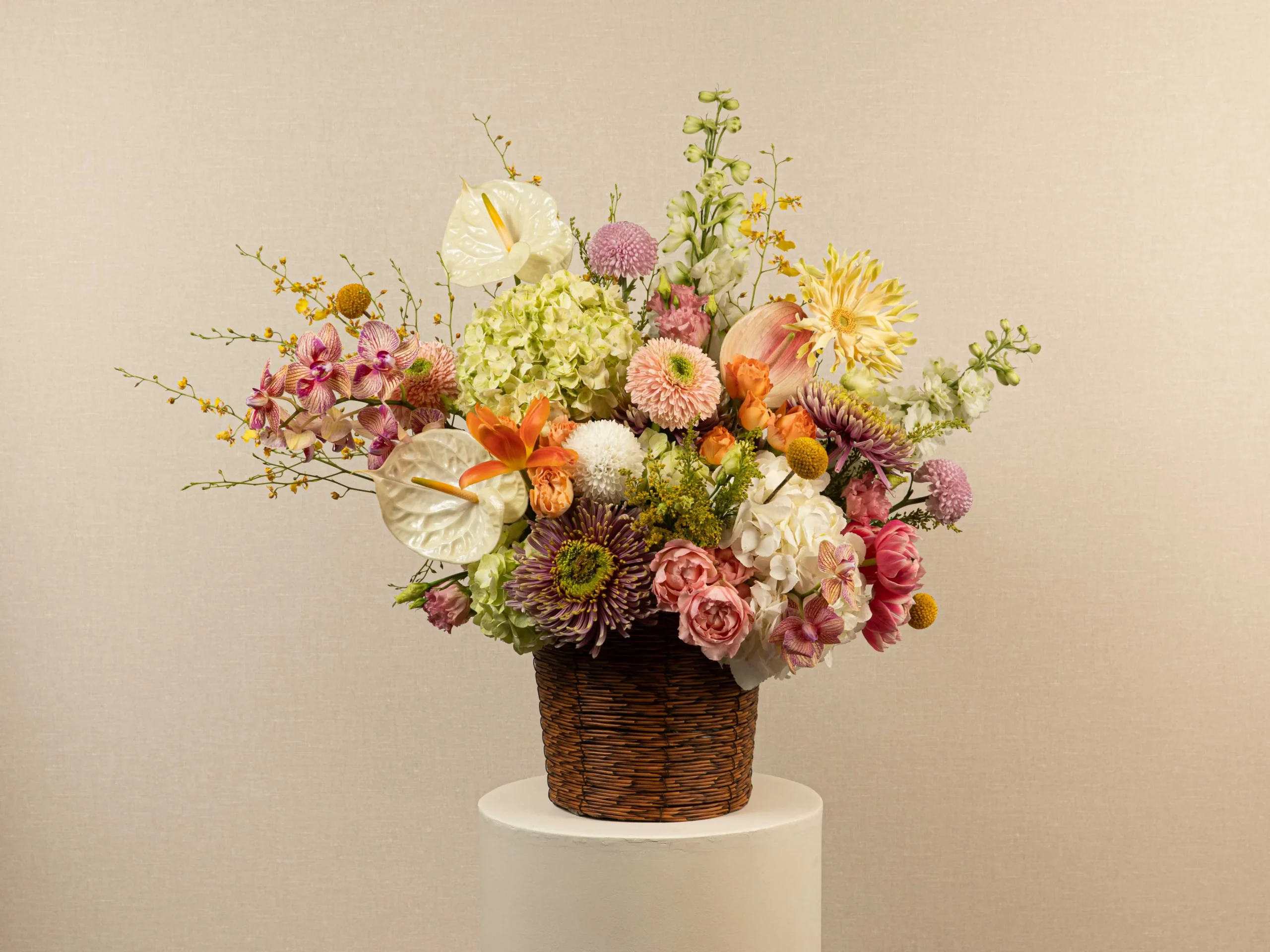 Petal Parade - Image 3