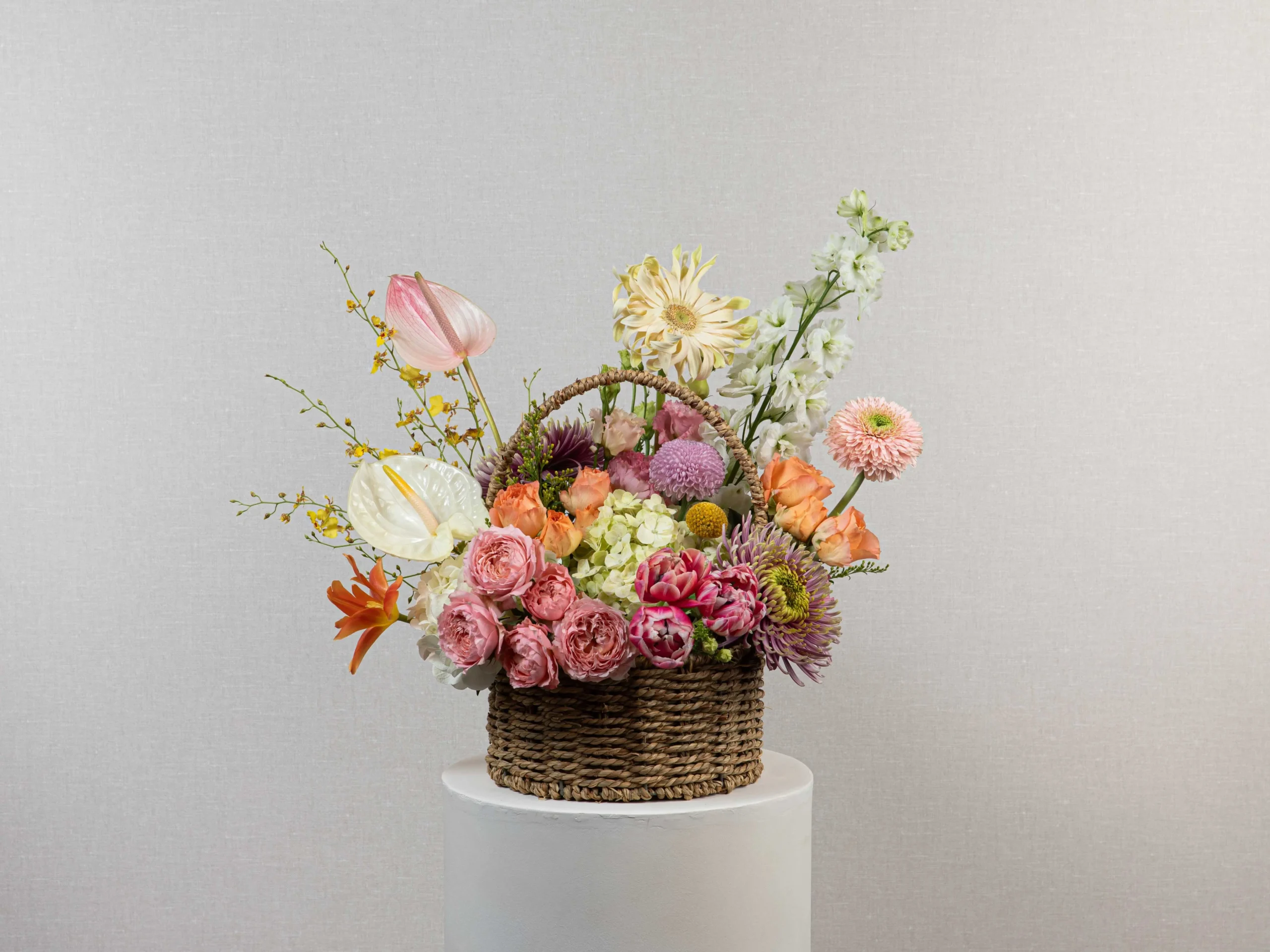 Petal Parade - Image 4