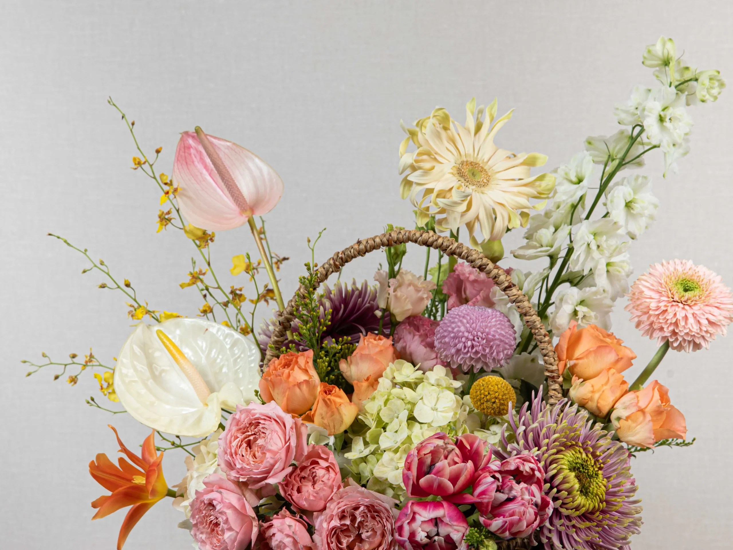 Petal Parade - Image 5