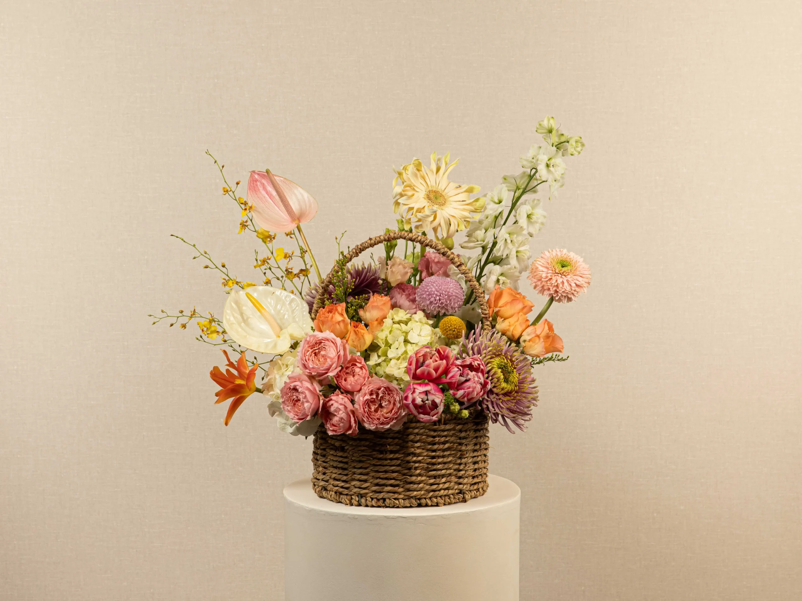 Petal Parade - Image 6