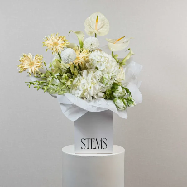 Pure Blooms